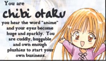 What Kind Of Otaku Are You?