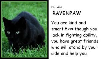What Warrior Cat Are You?