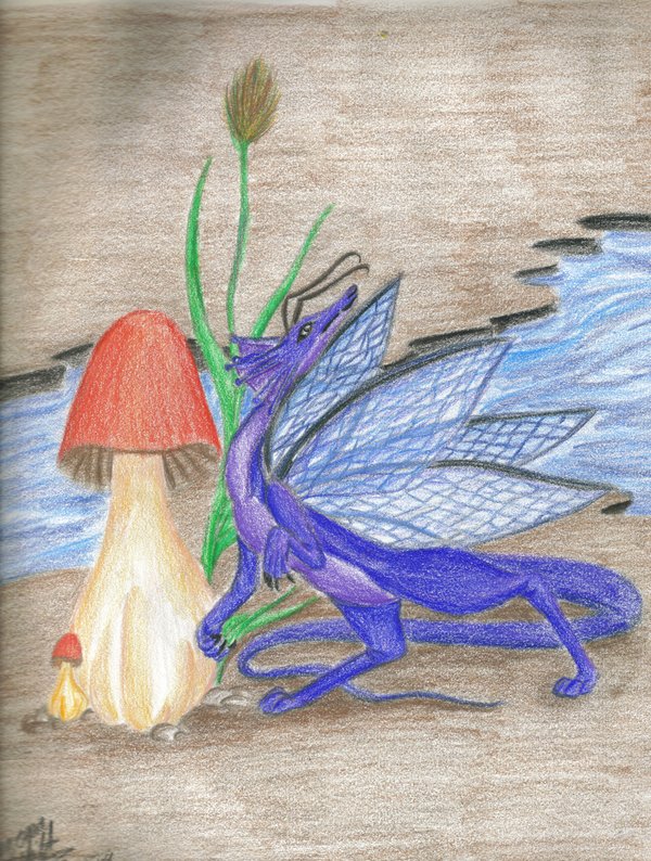 Dragon fairy
