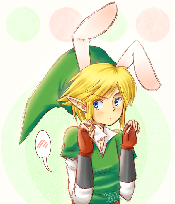 Bunny Link~