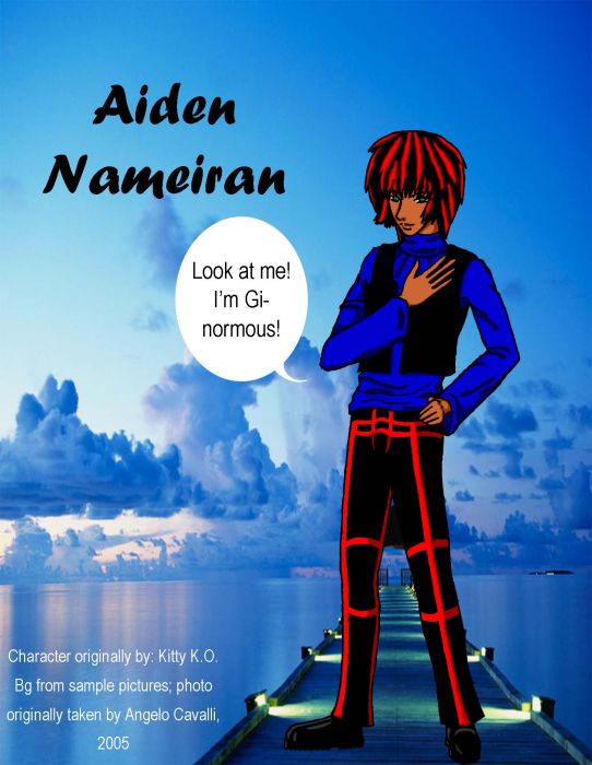 Aiden Nameiran