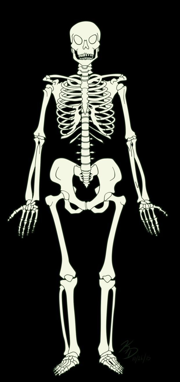 Drawlloween 2015 - Day 24: Skeleton