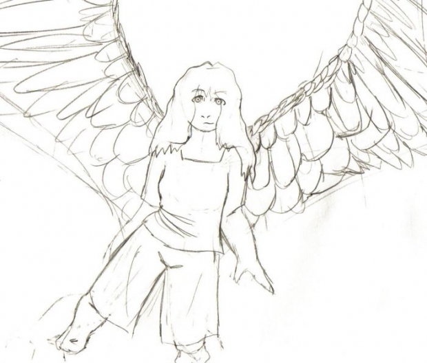 Falcon Girl Sketch