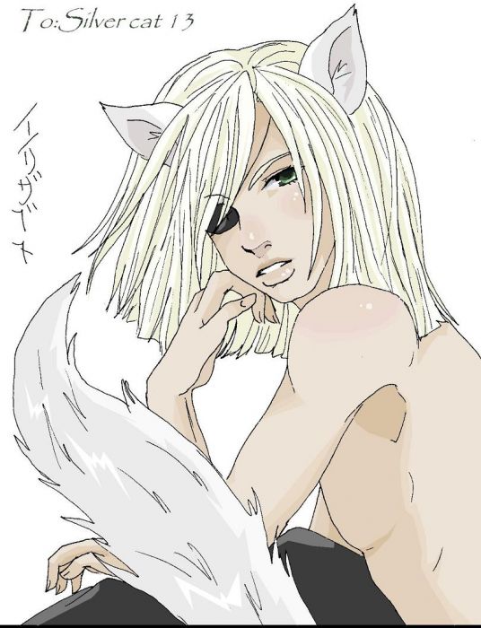 For Silver Cat 13