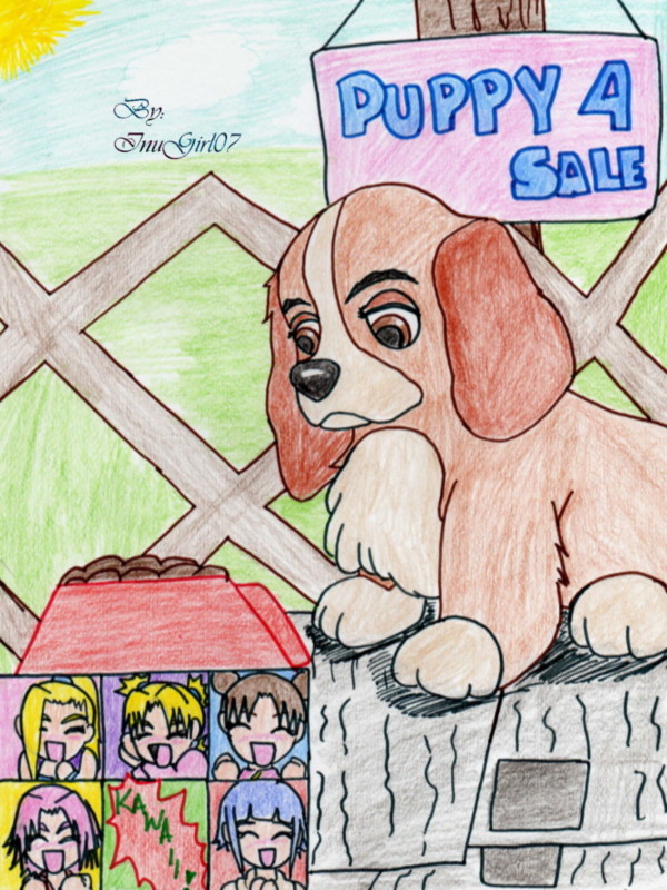 Puppy 4 Sale