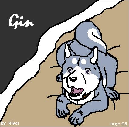 Gin From Ginga Nagareboshi Gin