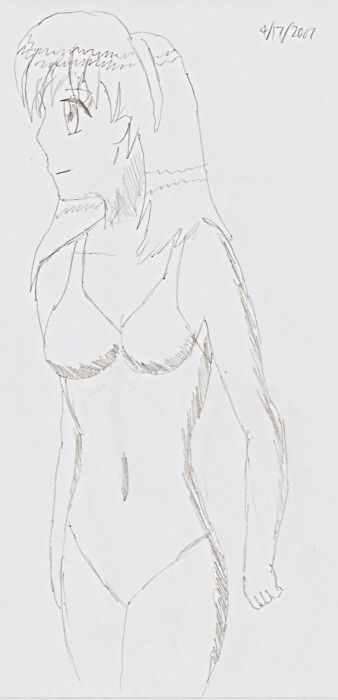 A Bishoujo In Swimsuit