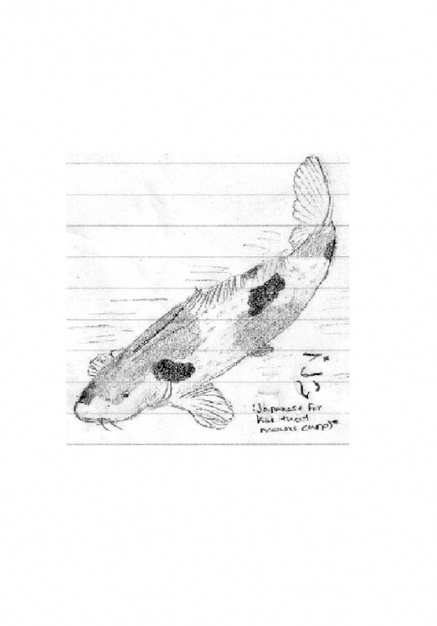 A Japanese Koi Shown In Some Anime.