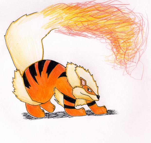 Arcanine (for Turtle Chris' contest)