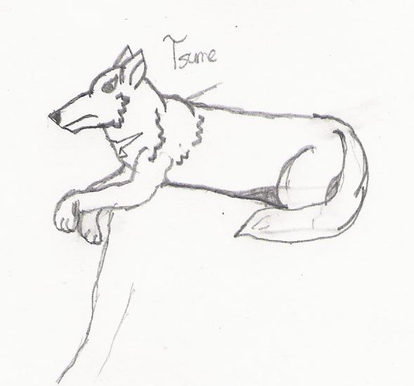 Lone Wolf Tsume
