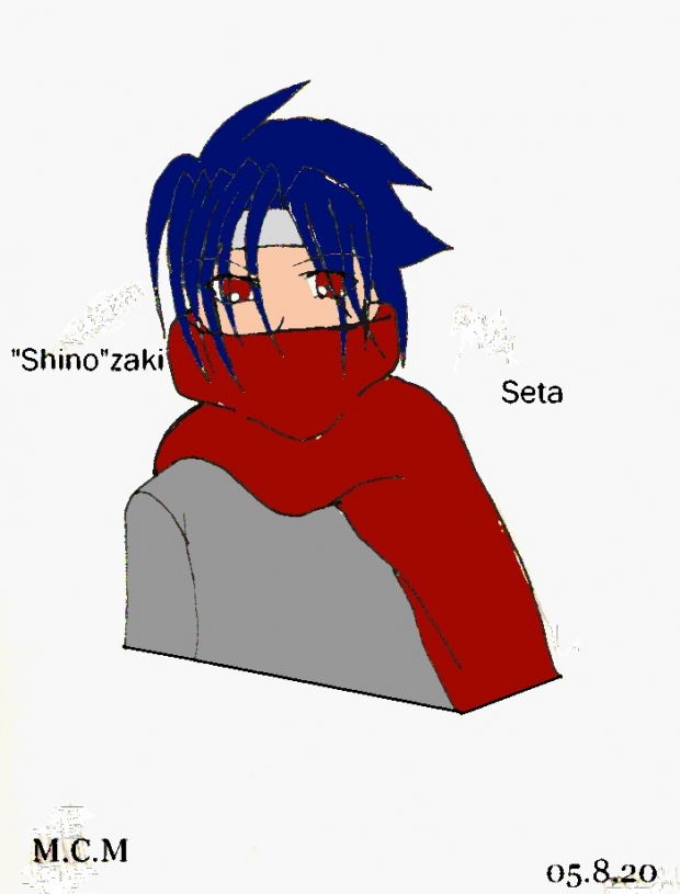 Shino Seta