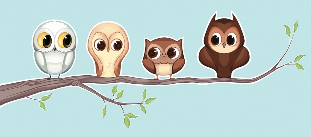 Owlies