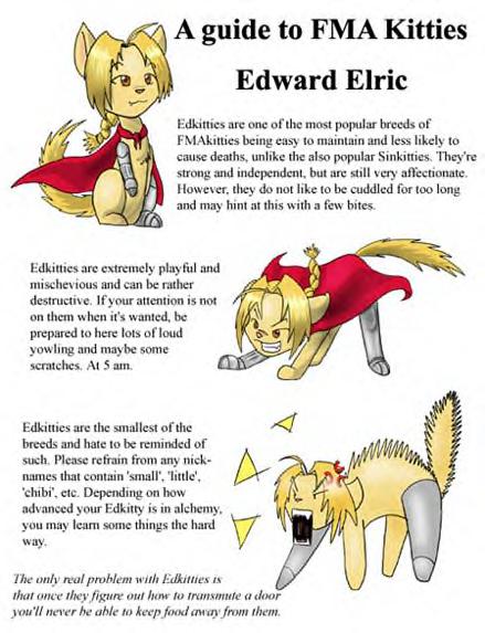 Edwardkitty