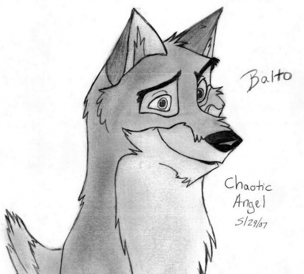 Balto-wolf Dog