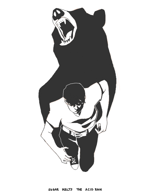 THE BEARS ARE COMING