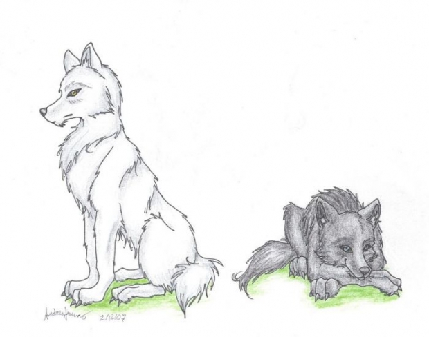 For Darkwolves Faith