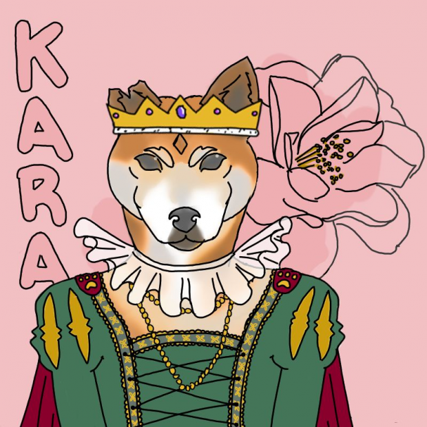 Kara the Shiba
