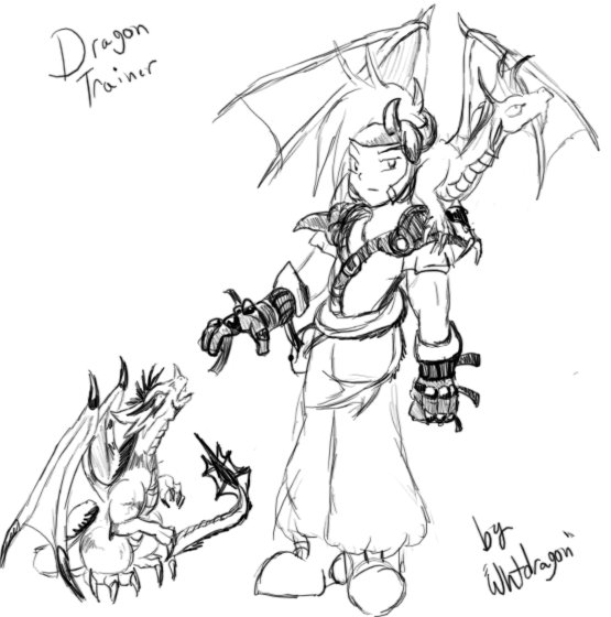 Male Dragon Trainer