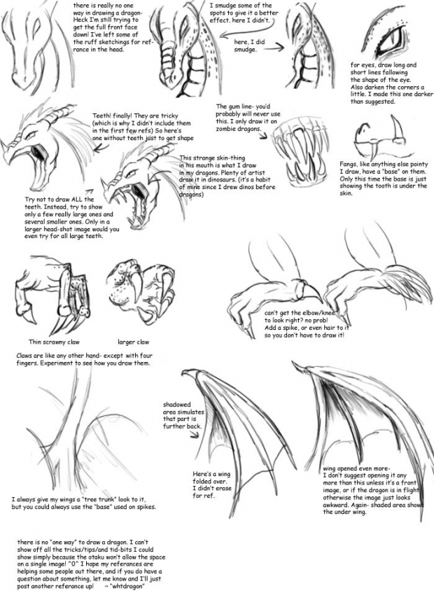 Whtdragon's Advanced Dragon Ref