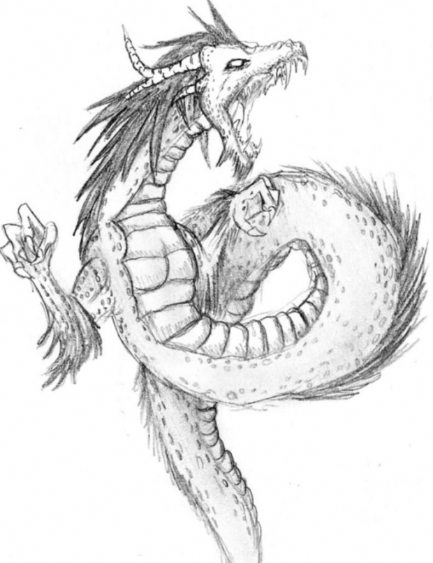 Penciled Snake-dragon