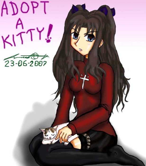 Adopt A Kitty! Rin & Cucho