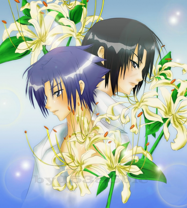 sasuke and itachi - spider lilly