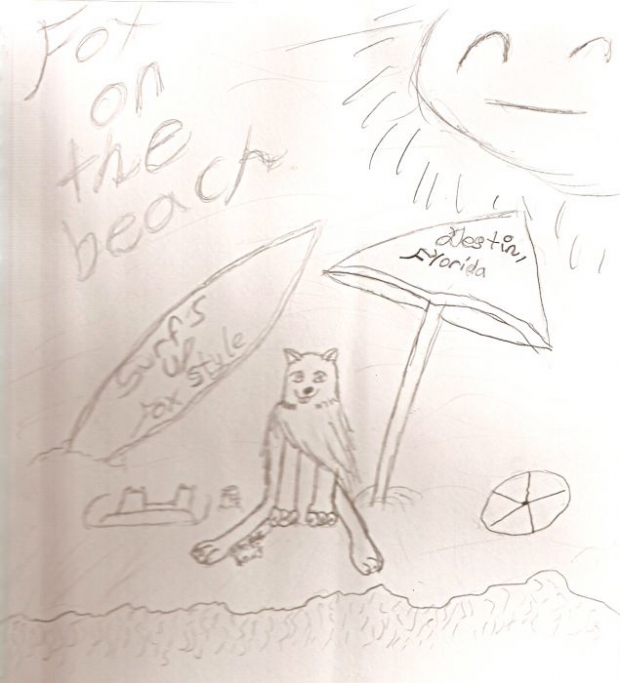 Fox On The Beach