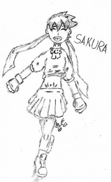 Sakura The Street Fighter