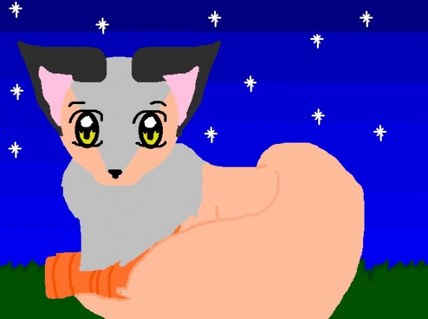 A Cat I Drew... When I Was Bored
