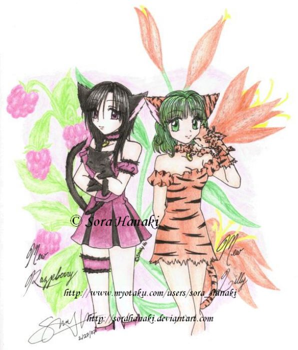 Sailor Usagi Chan's Contest Entry