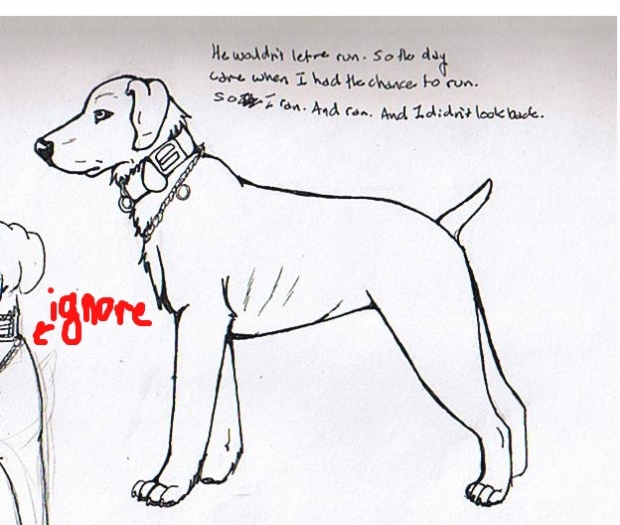 Weimeraner Dog Ref Wip