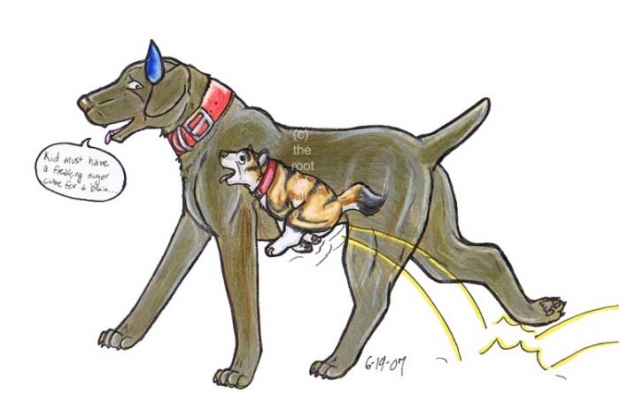 Quite The Spaz Color