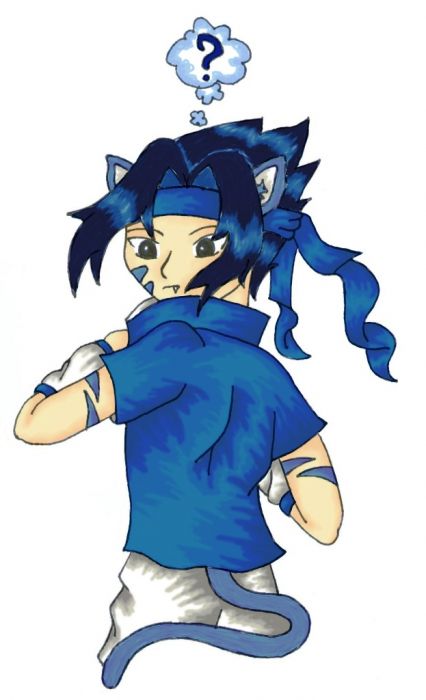 Neko.lover's Contest