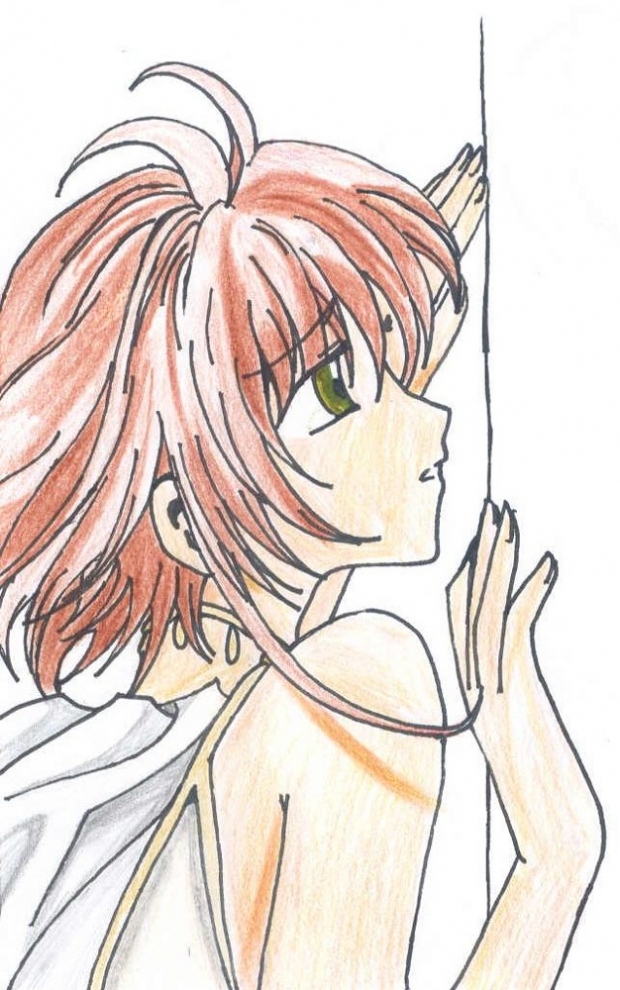 Tsubasa - Sakura Hime