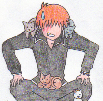 The Cats Love Kyo