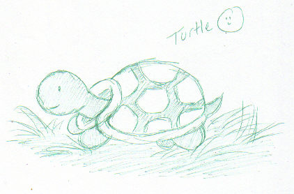 Baby Turtle ^-^