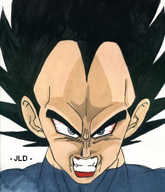 Evil Vegeta
