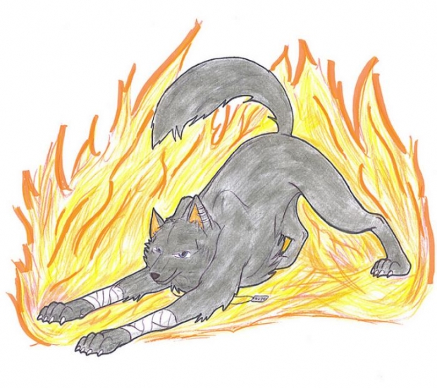 Firecirmsonwolf "fire Element"