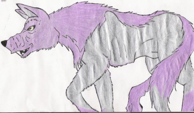 Wolf-colored
