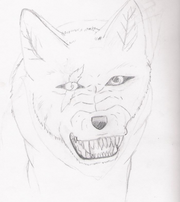 Random Wolf