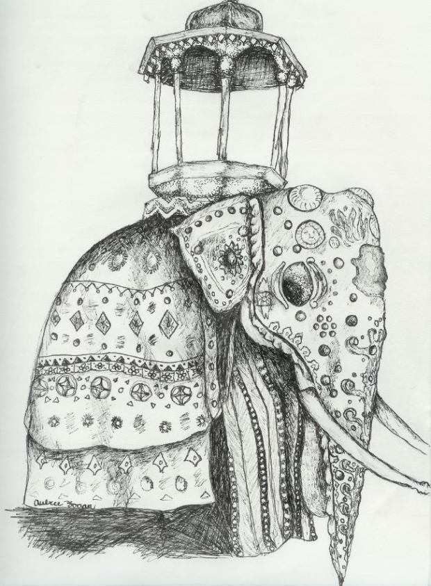 Indian Elephant