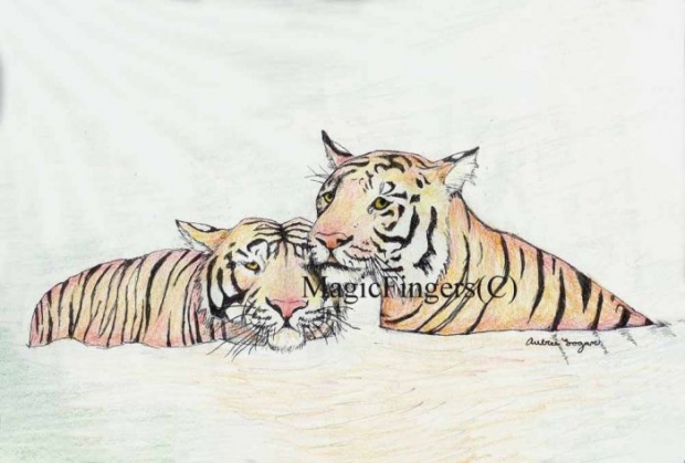 Colored Tigers