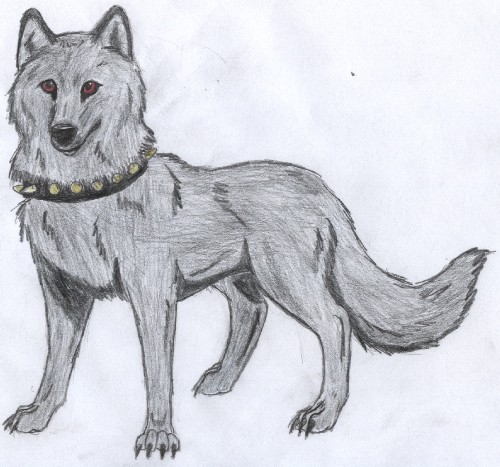 Request For Black Wolf14