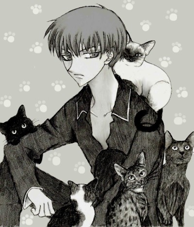 Kyo And His Kitty Friends