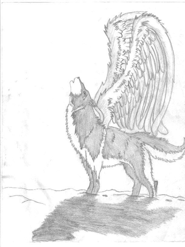 Winged Wolf(request Fer Wolftrest)