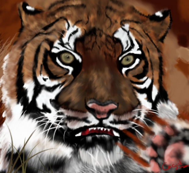 Bengal Tiger Colored