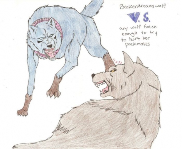 Brokendreamswolf Vs Ne Wolf