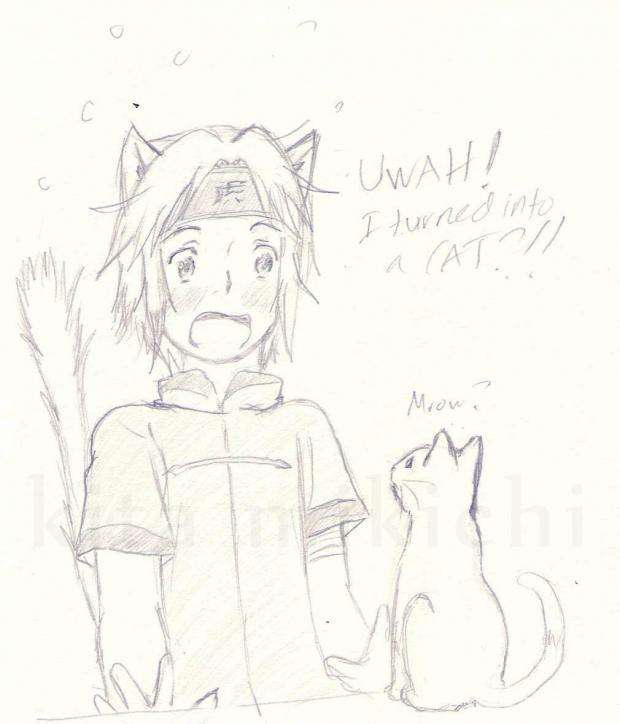 I Turned into a Cat?!?!