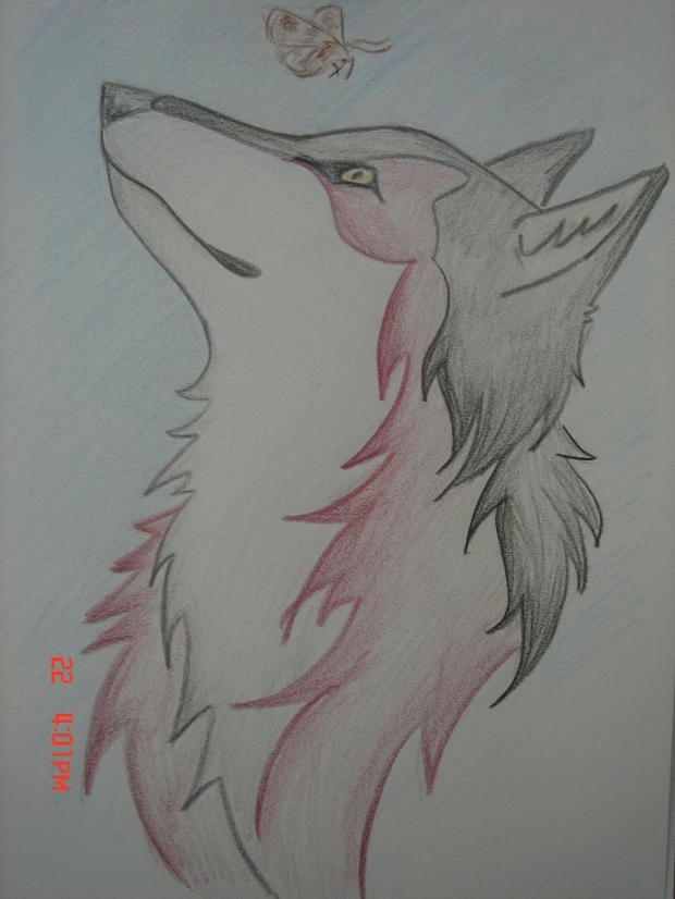 Wolf In Progress 3