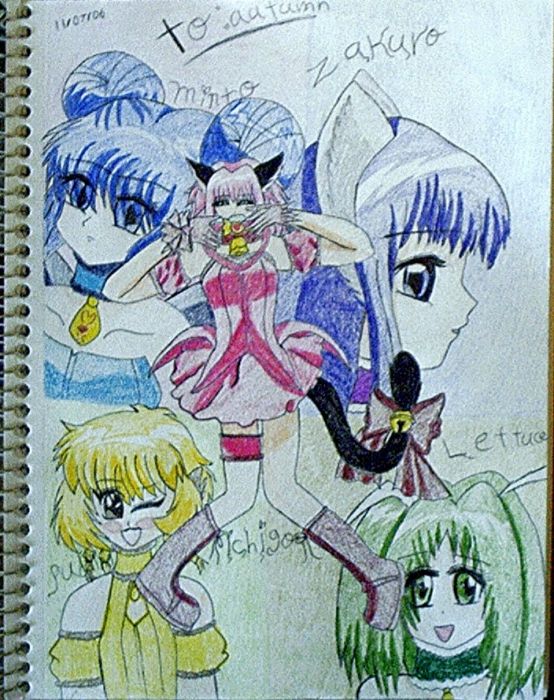 Tokyo Mew Mew's